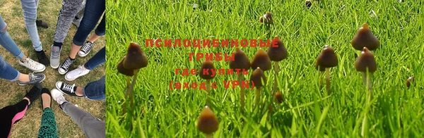 MDMA Premium VHQ Беломорск