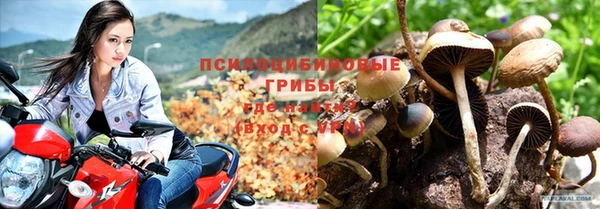 MDMA Premium VHQ Беломорск