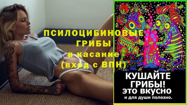 прущая мука Белокуриха